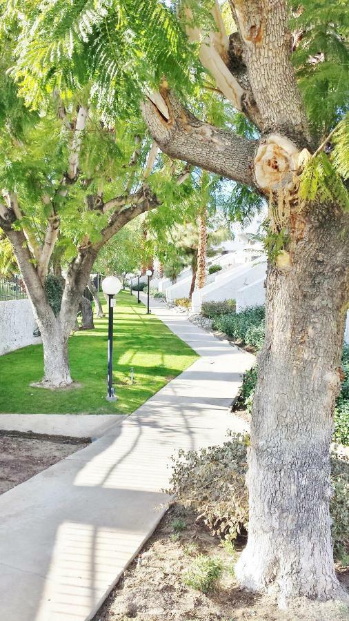 Palm Canyon Villas Palm Springs Exterior foto